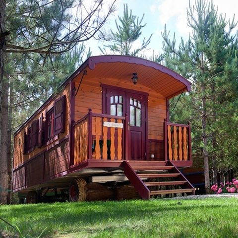 UNIEKE ACCOMMODATIE 4 personen - Roulotte