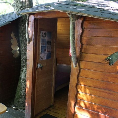 UNIEKE ACCOMMODATIE 4 personen - Boomhut (met droog toilet, geen douche)