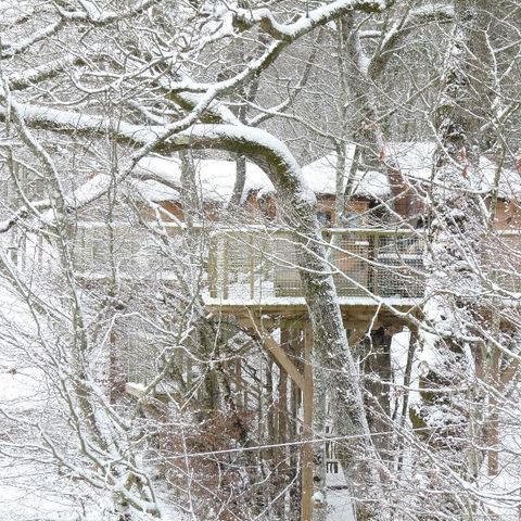 AUßERGEWÖHNLICHE UNTERKUNFT 4 Personen - Baumhaus (mit Trockentoilette, ohne Dusche)
