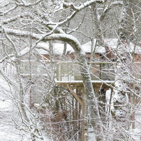UNUSUAL ACCOMMODATION 4 people - Tree house (with dry toilet, no shower)