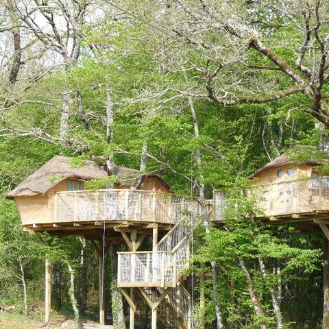 UNUSUAL ACCOMMODATION 4 people - Tree house (with dry toilet, no shower)