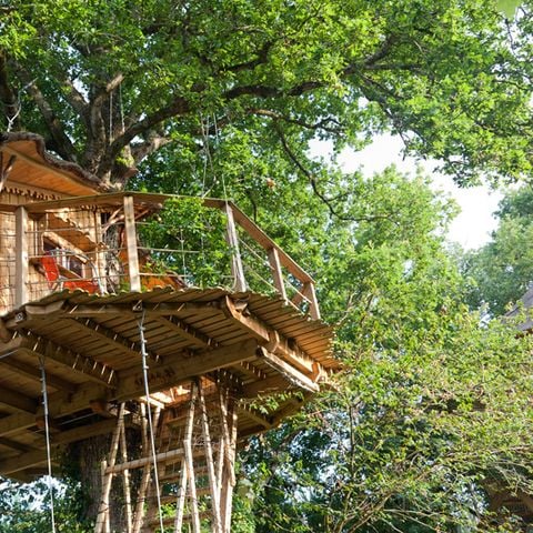 Accommodatie 4 personen - Boomhut - Met droog toilet - Geen douche