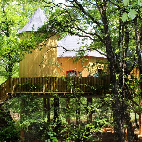 UNUSUAL ACCOMMODATION 10 people - Manor in the branches