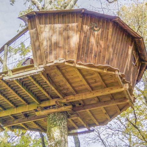 Accommodatie 2 personen - Boomhut - Met droog toilet - Geen douche