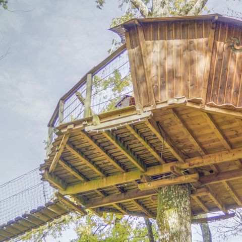 UNIEKE ACCOMMODATIE 2 personen - Boomhut (met droog toilet, geen douche)