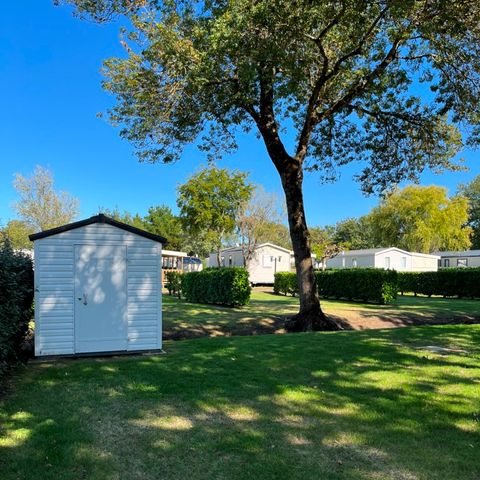 Pitch - Premium pitch with Top fridge