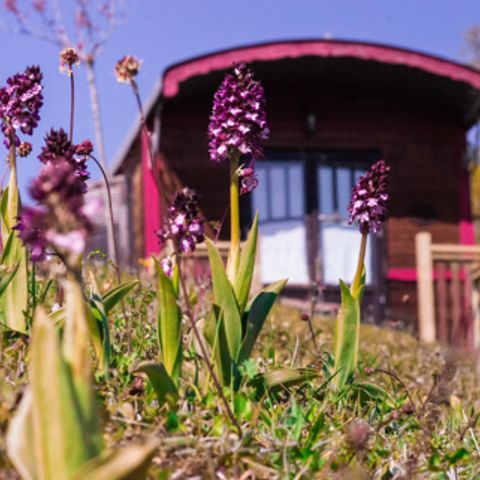 Accommodation 5 persons - Roulotte Gîte 4/5 pers