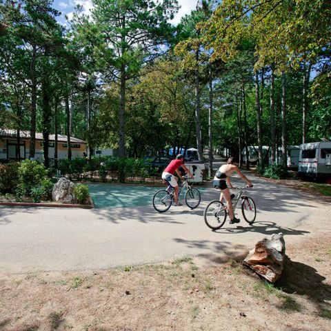 Camping Mare Pineta Camping Mare Pineta - Camping Trieste - Image N°19