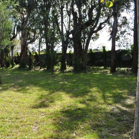 STAANPLAATS - SUPER : Caravan + auto + 6A elektriciteit