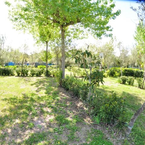 Pitch - STANDARD: Caravan + car + 3A electricity