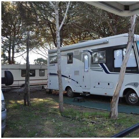 STAANPLAATS - STANDAARD: Caravan + auto + 3A elektriciteit