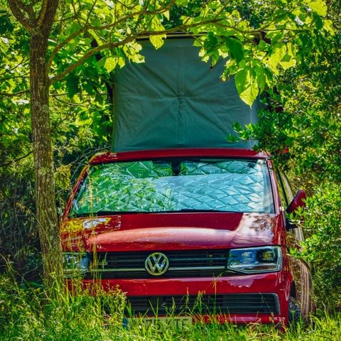 Pitch - Pitch + tent + electricity