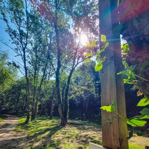 Pitch - Pitch + tent + electricity