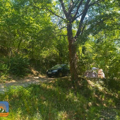 Stellplatz - Pauschale Stellplatz + Zelt + Strom