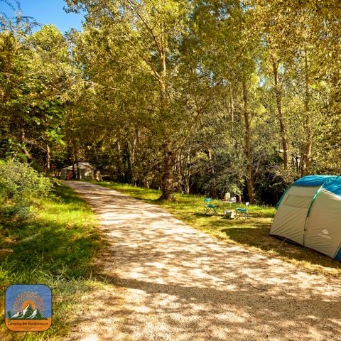 Pitch - Pitch + tent + electricity