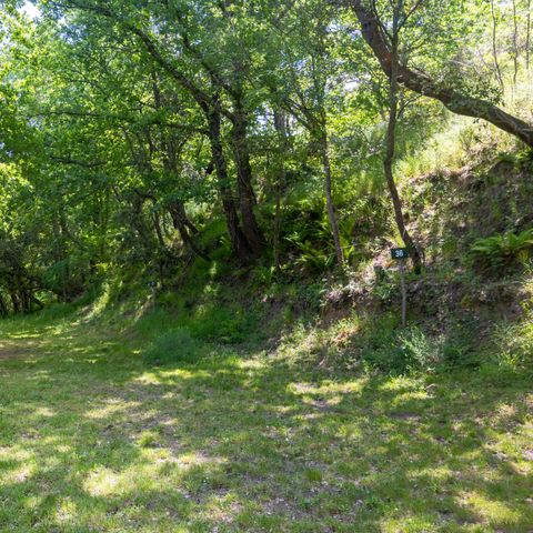 Stellplatz - Pauschale Stellplatz Zelt für 2 Personen ohne Strom