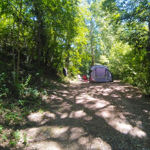 PLOT - Package pitch 1 tent (7x3m max.) (price based on 2 people) With electricity. No vehicle