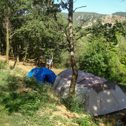 PLOT - Package pitch 1 tent (7x3m max.) (price based on 2 people) With electricity. No vehicle