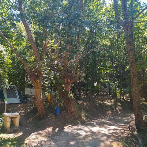 PLOT - Package pitch 1 tent (7x3m max.) (price based on 2 people) With electricity. No vehicle