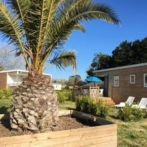 MOBILHOME 6 personnes - Cottage Privilège 4 Pièces 6 Personnes + TV