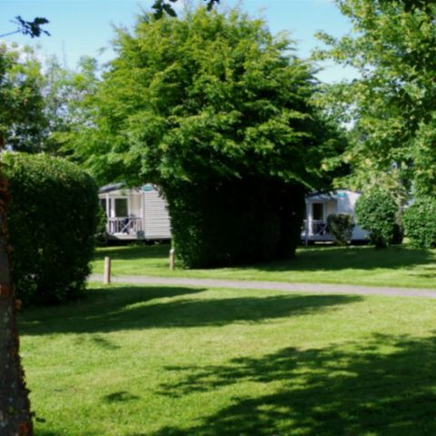Stellplatz - Stellplatz Natur ohne Strom