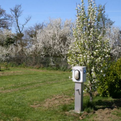 Stellplatz - Komfortstellplatz XXL 130m²