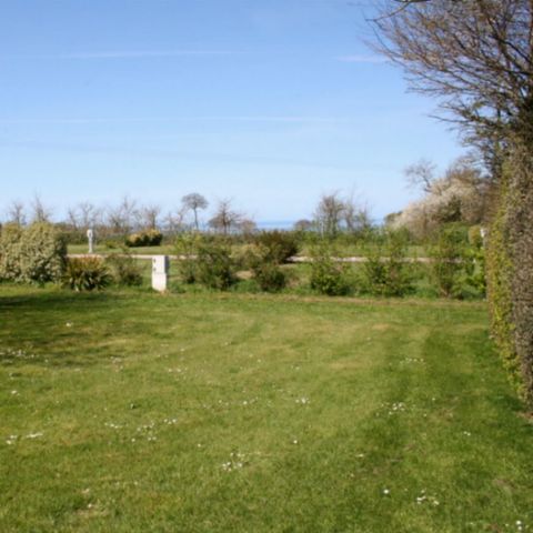 Stellplatz - Komfortstellplatz XXL 130m²