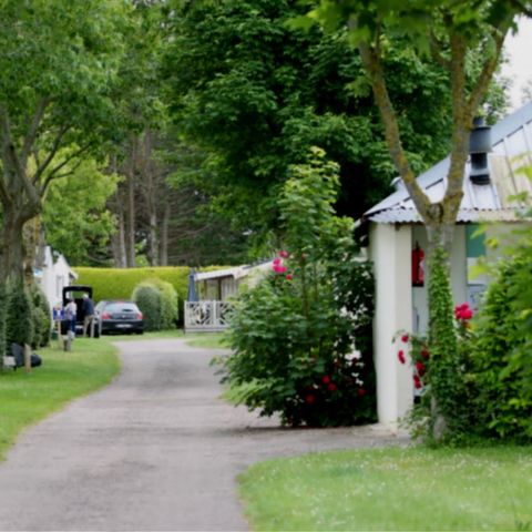 STAANPLAATS - Comfort