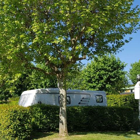 Kampeerplaats - Premium met eigen badkamer Luxe