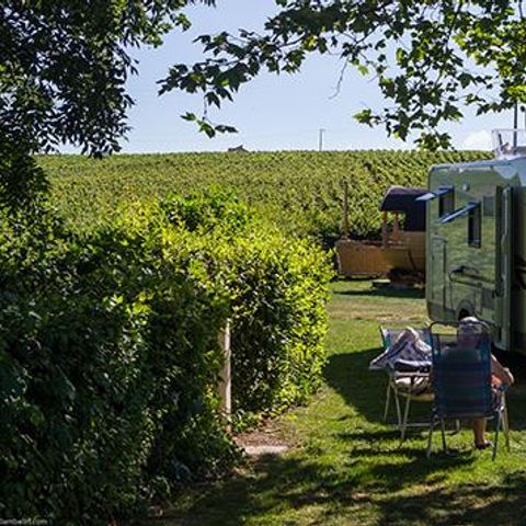 PARCELA - Confort (con electricidad)