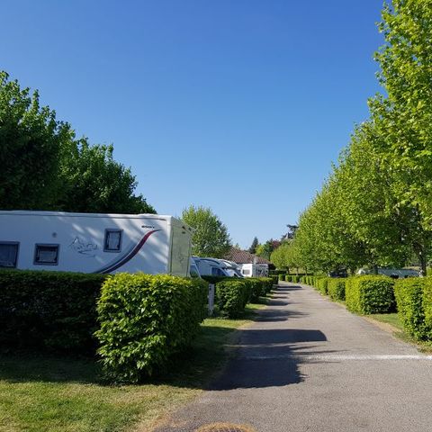 Pitch - Family package (with electricity) - 2 adults and 2 children