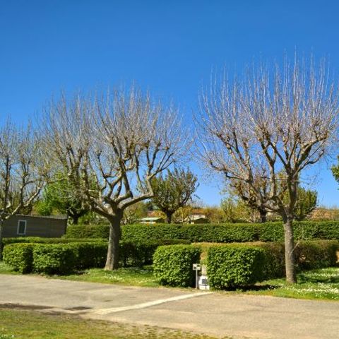 Stellplatz - Familienpauschale (mit Strom) - 2 Erwachsene und 2 Kinder