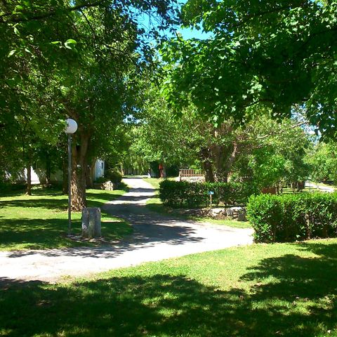 Pitch - COMFORT package: Pitch + Car + 3 A Electricity