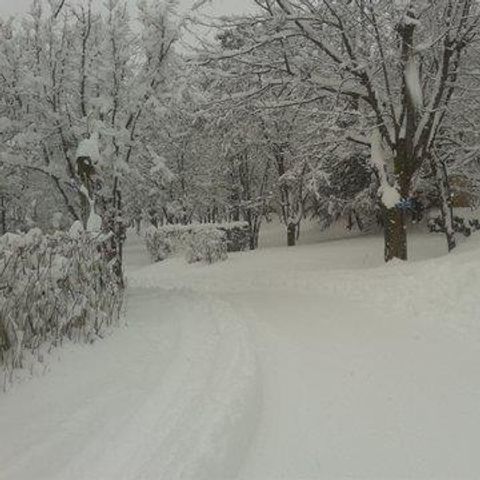 Pitch - GRAND CONFORT package: Pitch + Car + 6A electricity + water and drainage