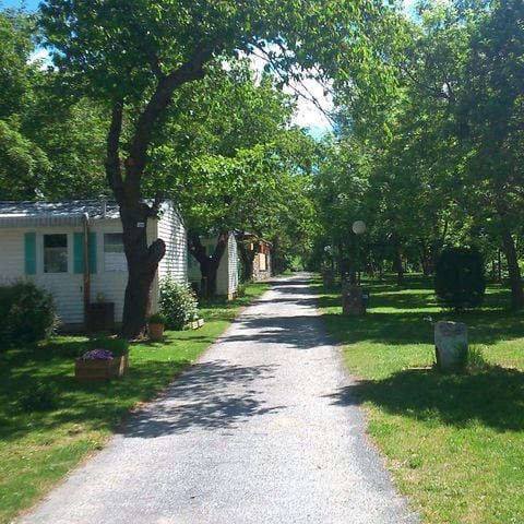 EMPLACEMENT - Forfait GRAND CONFORT : Emplacement + Voiture + Electricité 6 A + Eau et évacuation