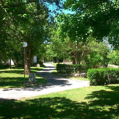 STAANPLAATS - GRAND CONFORT pakket: Standplaats + Auto + 6A elektriciteit + water en afvoer