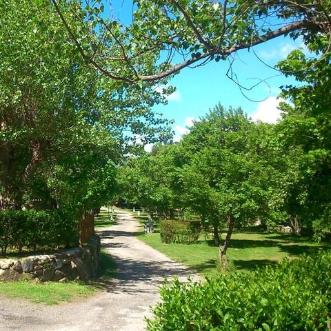 PIAZZOLA - Pacchetto SUPER COMFORT: Piazzola + Auto + Elettricità 10 A + Acqua e scarico