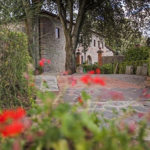 Appartement 4 personen - Twee stuks