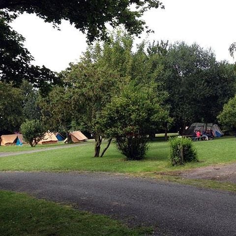 Kampeerplaats - Natuur arrangement (1 tent, caravan of camper / 1 auto)