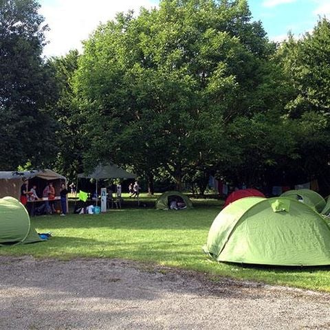 Kampeerplaats - Natuur arrangement (1 tent, caravan of camper / 1 auto)
