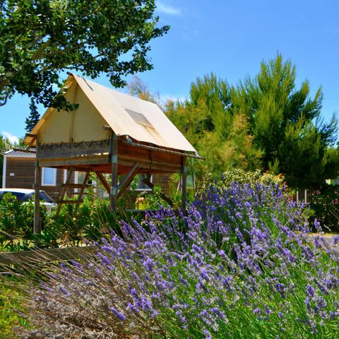 Tent van canvas en hout 2 personen - Bivak onder de sterren