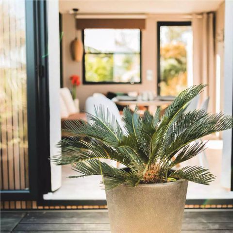 BUNGALOW 4 personnes - Côté Jardin 3 Pièces 4 Personnes + TV