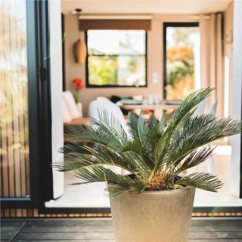 Mobile home 4 persons - Côté Jardin 3 Rooms 4 People + TV