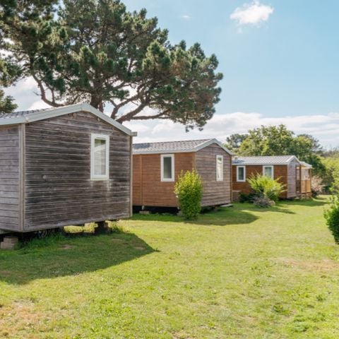 CASA MOBILE 4 persone - Standard Legno 24m² - 2 camere da letto + TV + terrazza di 7m²