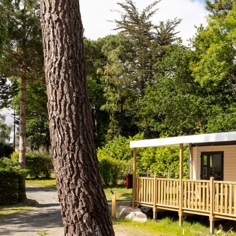 Mobilheim 6 Personen - Premium 32m² - 3 Schlafzimmer + TV + Geschirrspüler + Terrasse + Bettwäsche + Handtücher