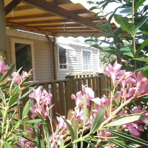 MOBILE HOME 6 people - O'PHEA 734 2 rooms