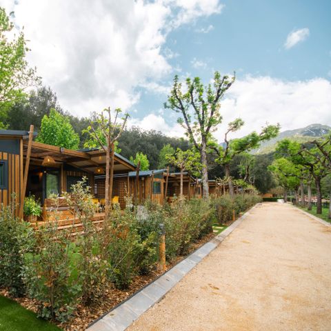 BUNGALOW 5 persone - BUNGALOW PREMIUM BASSEGODA