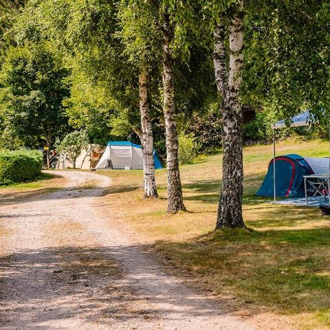 Kampeerplaats - Comfortpakket (1 tent, caravan of camper / 1 auto / 10A elektriciteit)