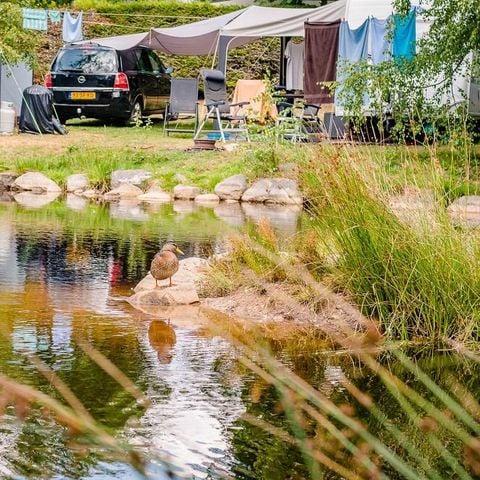 Pitch - Comfort package (1 tent, caravan or camper / 1 car / 10A electricity)