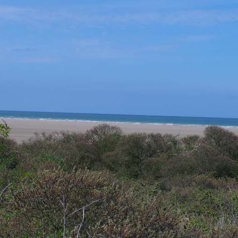 Mobile home 4 persons - SAVANAH (Sea view)